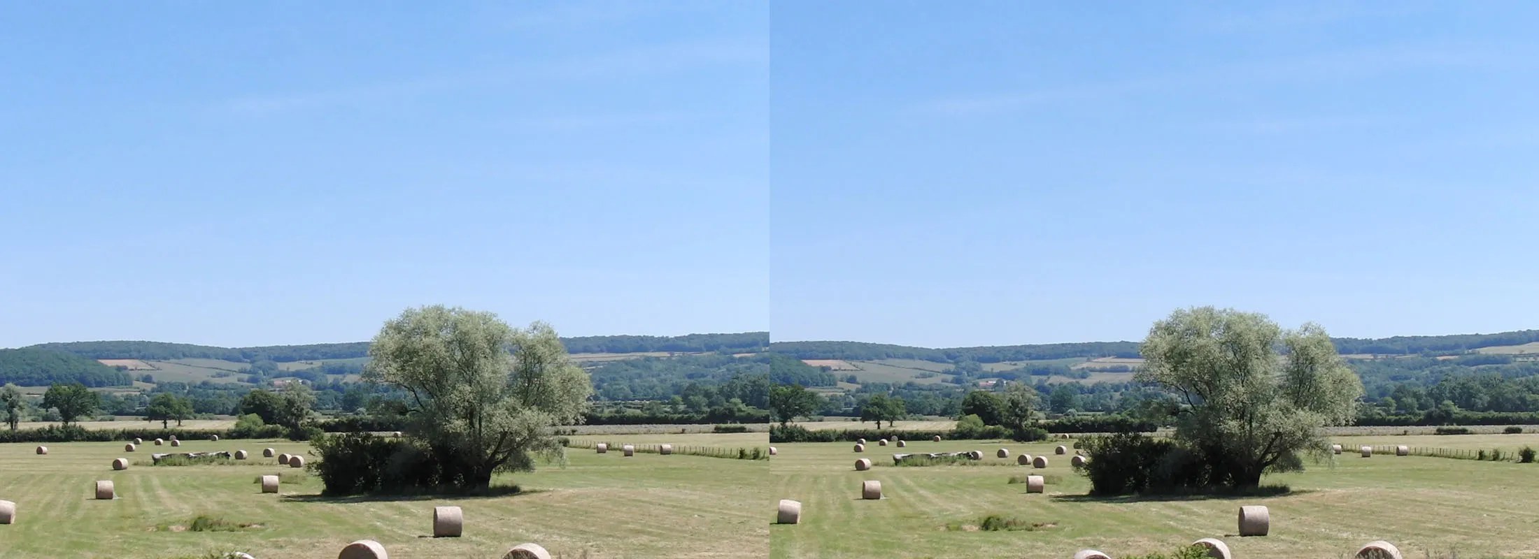 Stereoscopic image