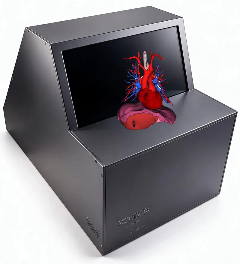 Alioscopy Digital Exobox